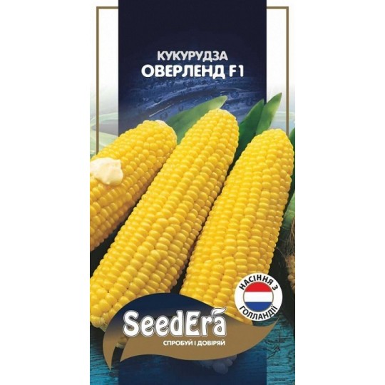 703744-540x540 Кукурудза Оверленд F1