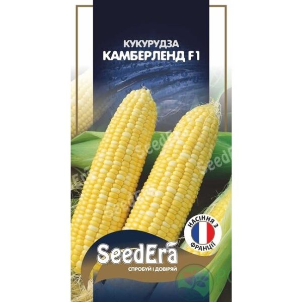 Кукурудза цукрова Камберленд F1